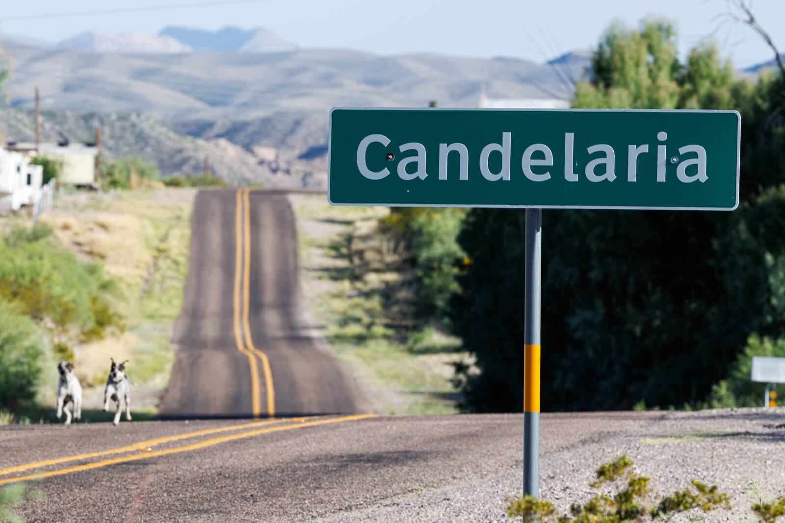 Two dogs running toward the Candelaria city limit sign